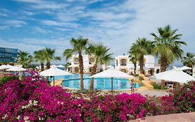 Amphoras Blu Ultra (Adults Only)